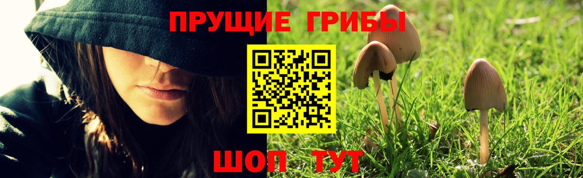 Галлюциногенные грибы Magic Shrooms  Галлюциногенные грибы Magic Shrooms  Иваново  Вход с VPN 